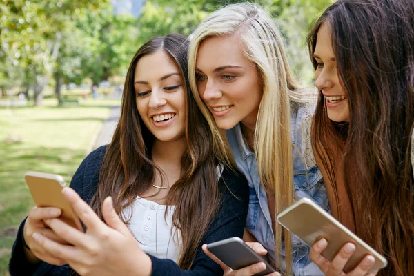 Impulio vs andere Social Media Planer: Welches Tool passt zu dir