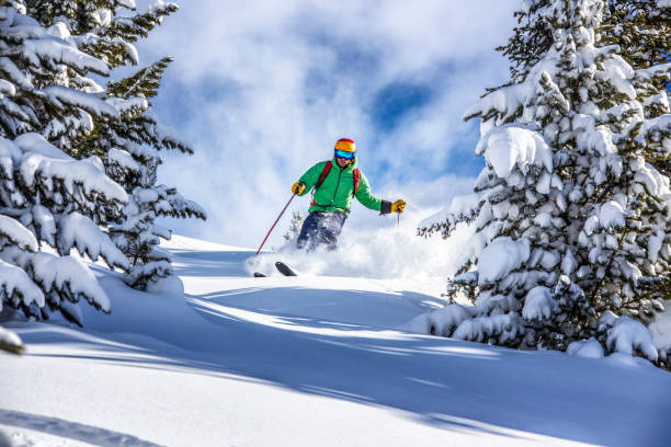 Splitboard kaufen: Der Ratgeber für die richtige Wahl