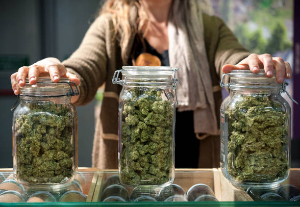 Cannabis Tourismus Spanien – So planen Sie Ihre sichere Reise nach Barcelona