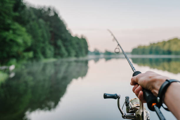 Karpfenköder im Vergleich – Boilies, Mais, Pellets und weitere Köderarten im Überblick