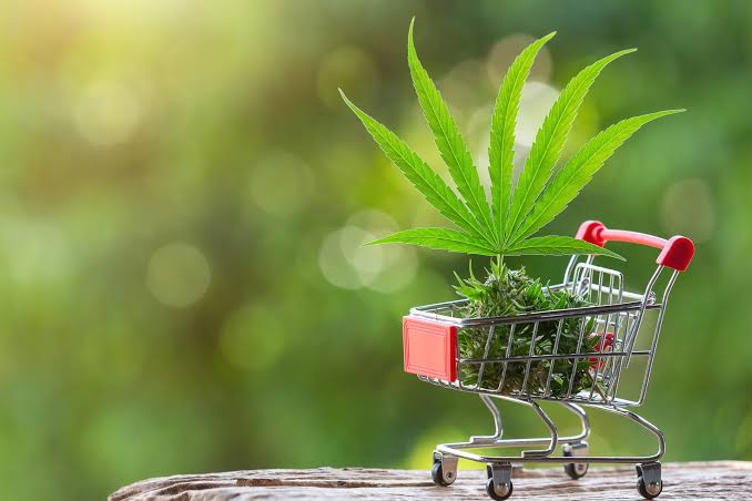 Weed Austria im Überblick Wissenswertes über österreichische Cannabisprodukte und Hanfkultur